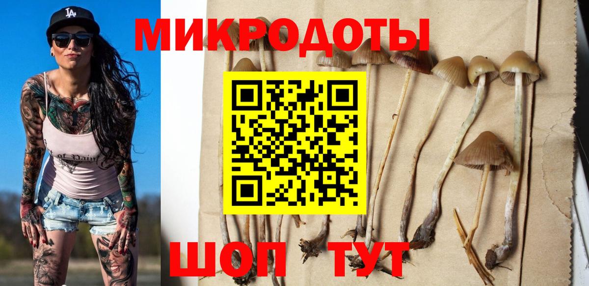 Галлюциногенные грибы Psilocybine cubensis  Вход с VPN  Калуга 