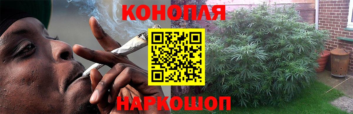 Каннабис Bruce Banner  Конопля план  Калуга  Вход с VPN  Бошки марихуана индика 